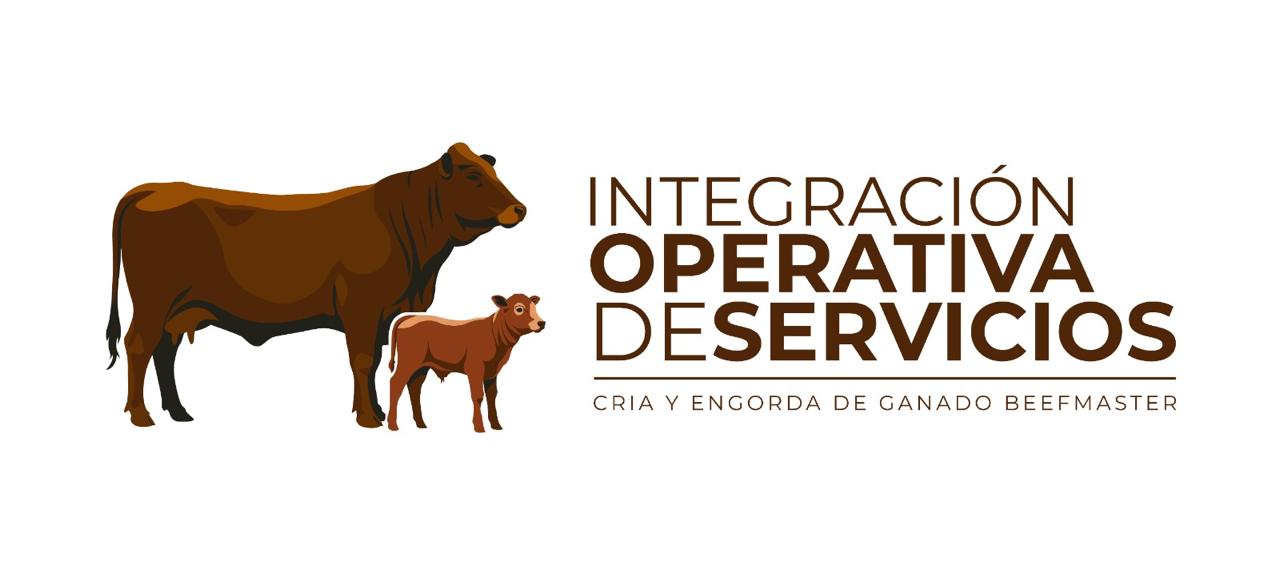 Integración Operativa de Servicios